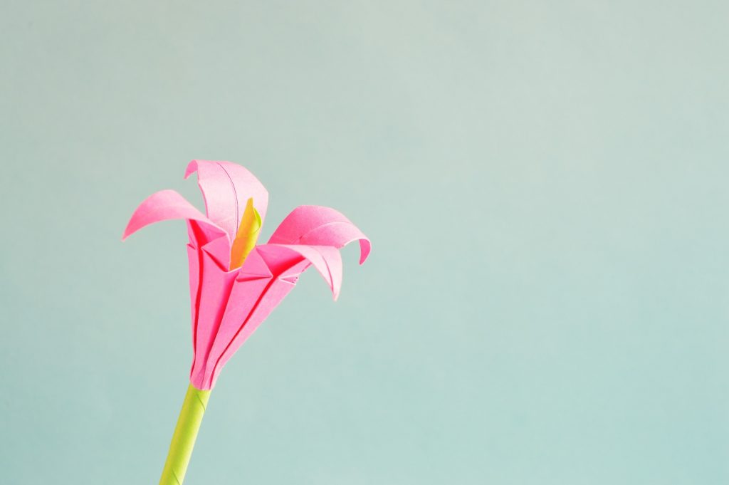 Fiori di carta velina, come comporli
