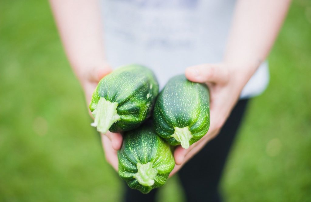 Zucchine tonde, come cucinarle