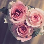 Regali sorprendenti per un matrimonio