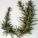 benefici-del-rosmarino