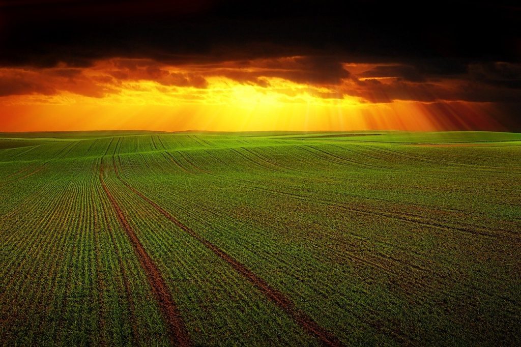 Livellatrici laser per terreni agricoli: tutti i vantaggi