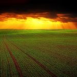 Livellatrici laser per terreni agricoli: tutti i vantaggi