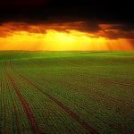 Livellatrici laser per terreni agricoli: tutti i vantaggi