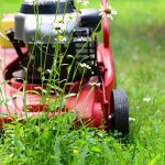 Quando e come tagliare l’erba nel corso dell’anno?